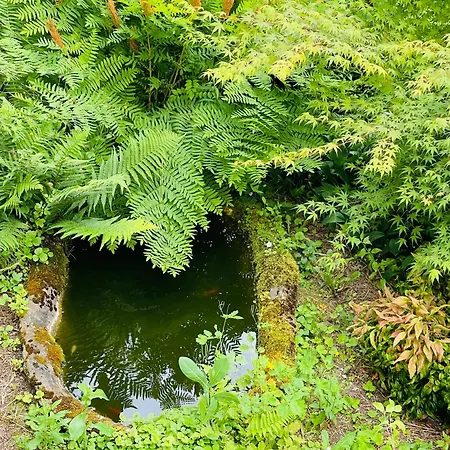 Tatil Evi Domaine Jeanne De Laval *