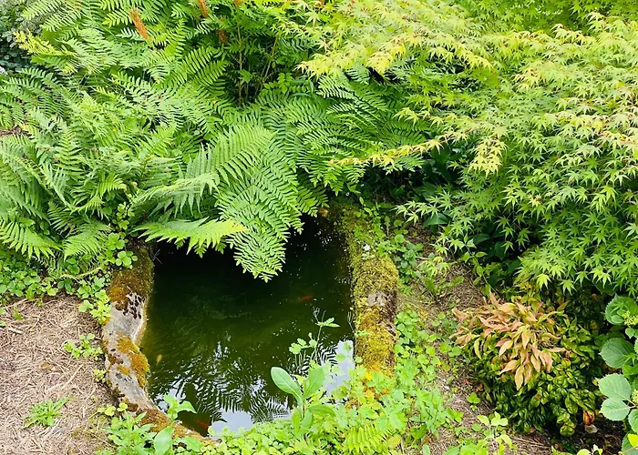 펜션 Domaine Jeanne De Laval *